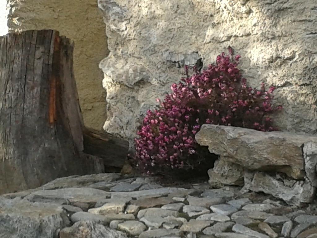 Casa Vacanze Roncaiola Tirano Exterior foto